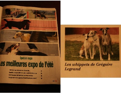 of Cyly of Course - Une interview dans Chiens 2000
