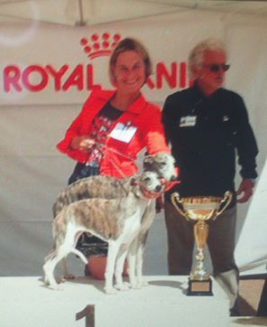 of Cyly of Course - Best in Show en paire 