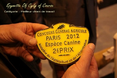 of Cyly of Course - Salon de l'Agriculture 2012
